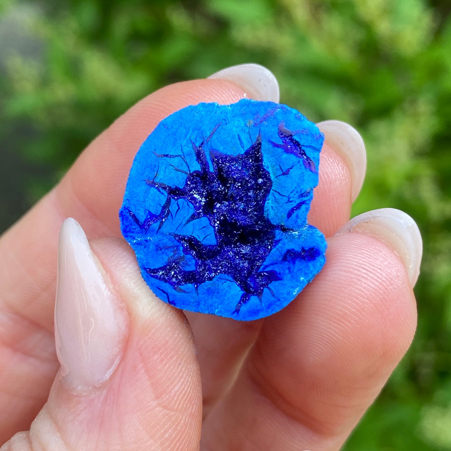 Azurite Blueberry Geode