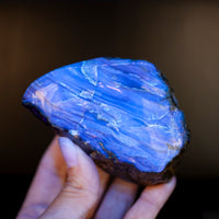 Sumatra Amber, Blue Amber, Lion's Mane Amber, 20-30 Million Years Old