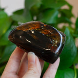 Sumatra Amber, Blue Amber, Lion's Mane Amber, 20-30 Million Years Old