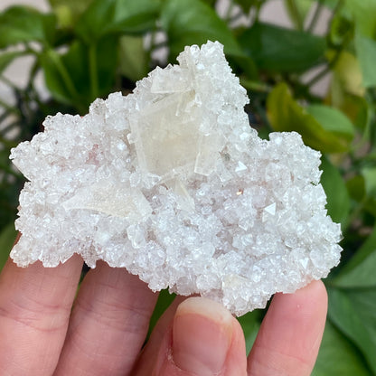 Barite on Apophyllite Specimen