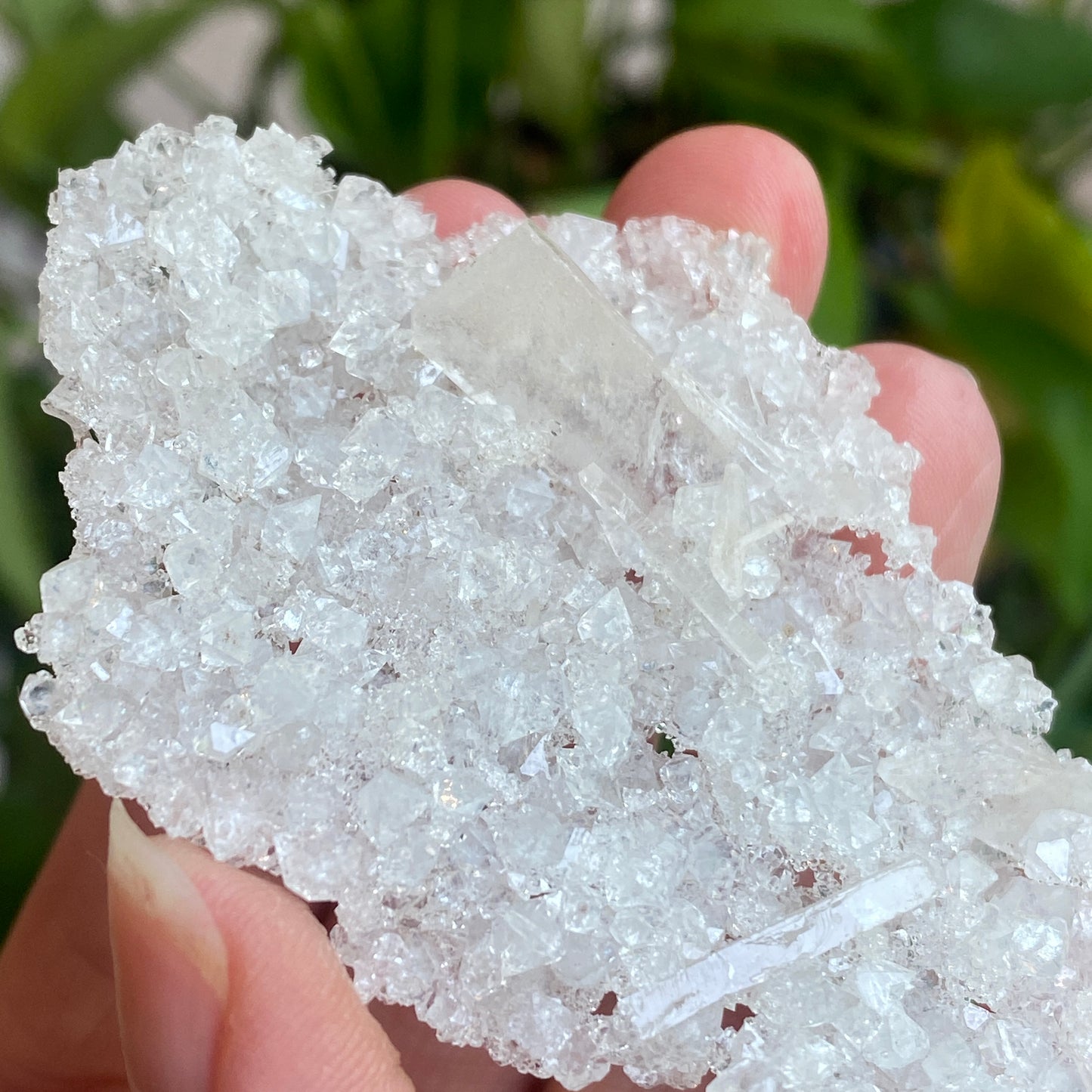 Barite on Apophyllite Specimen