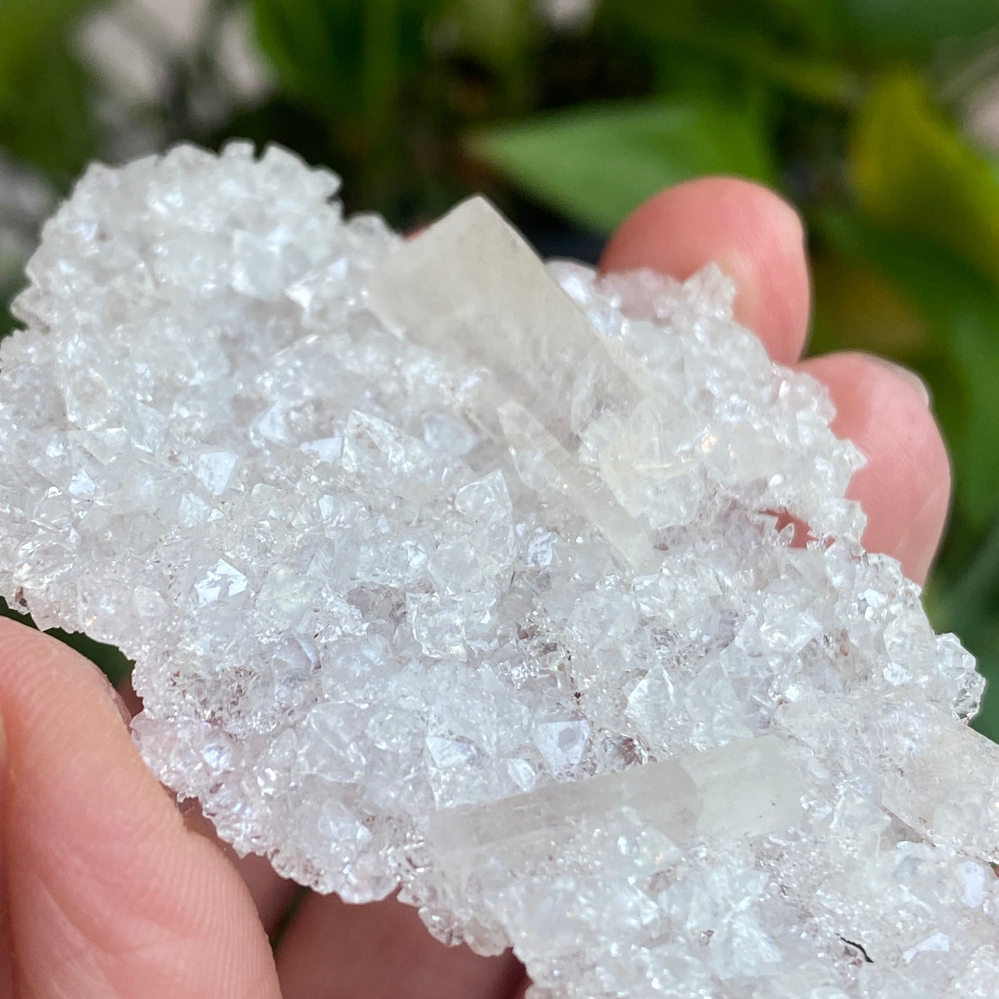 Barite on Apophyllite Specimen