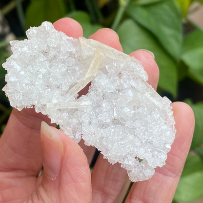 Barite on Apophyllite Specimen