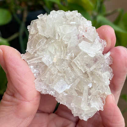 Barite on Apophyllite Specimen