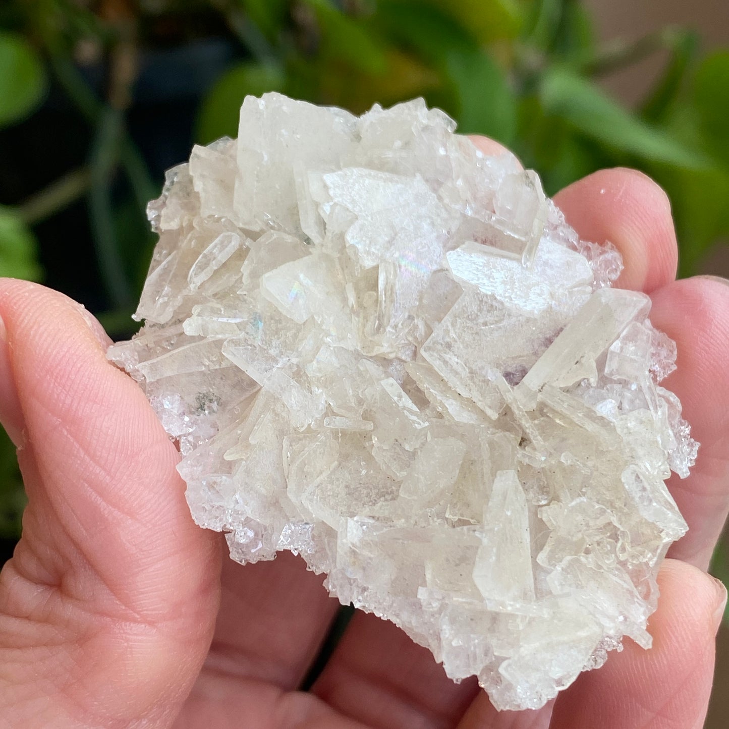 Barite on Apophyllite Specimen