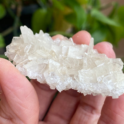 Barite on Apophyllite Specimen