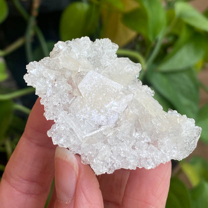 Barite on Apophyllite Specimen