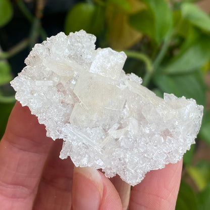 Barite on Apophyllite Specimen