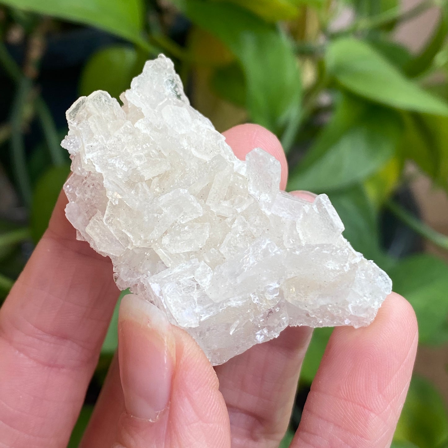 Barite on Apophyllite Specimen