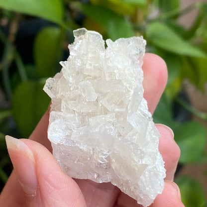 Barite on Apophyllite Specimen