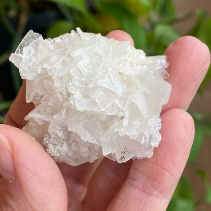 Barite on Apophyllite Specimen