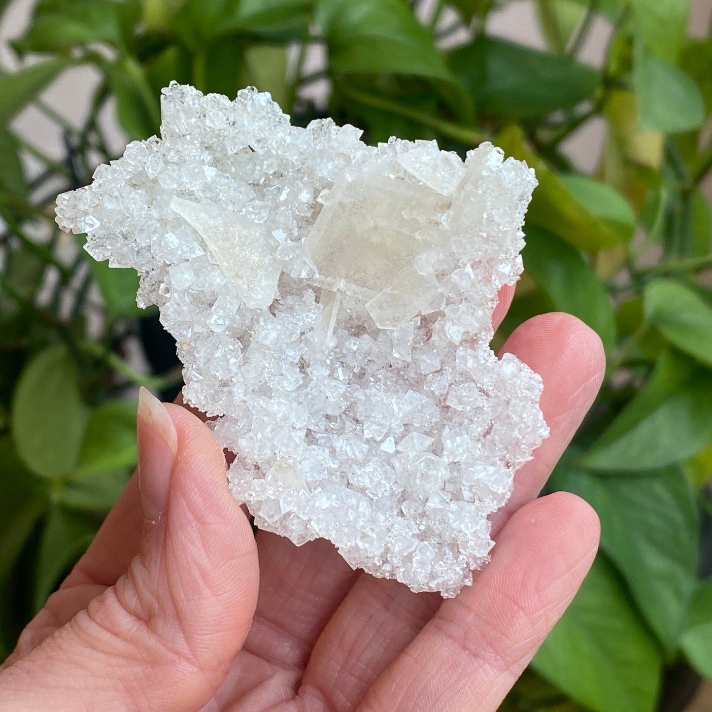 Barite on Apophyllite Specimen