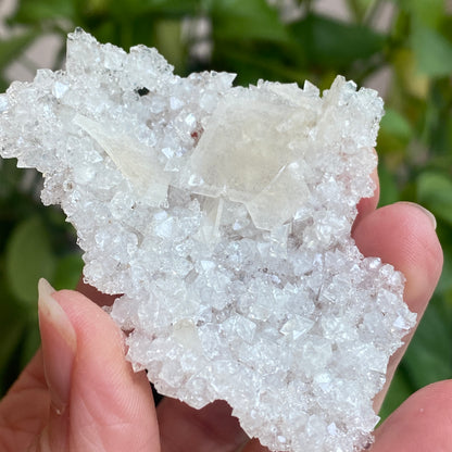 Barite on Apophyllite Specimen