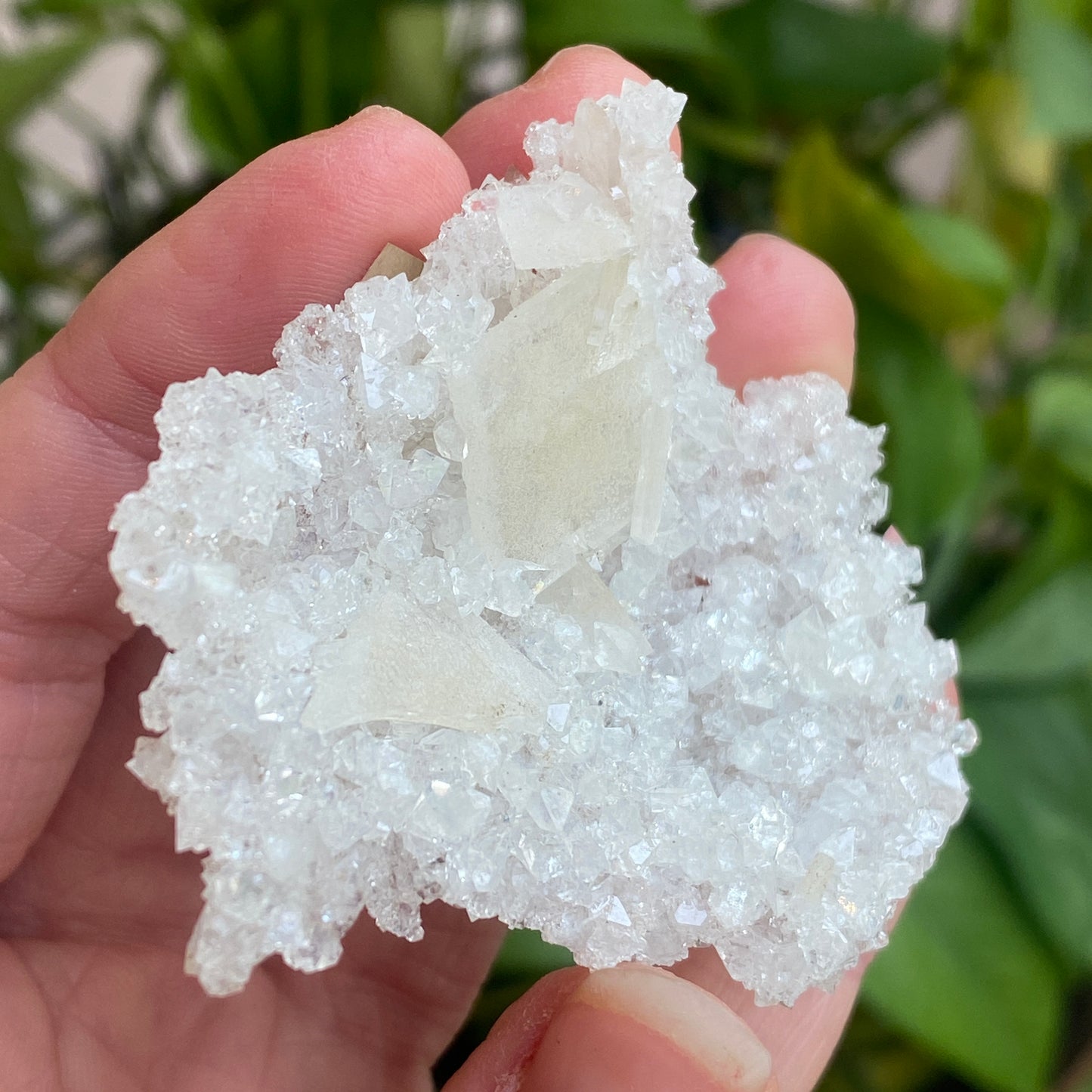 Barite on Apophyllite Specimen