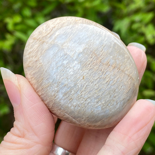 Black Moonstone Palm Stone, Gray Moonstone