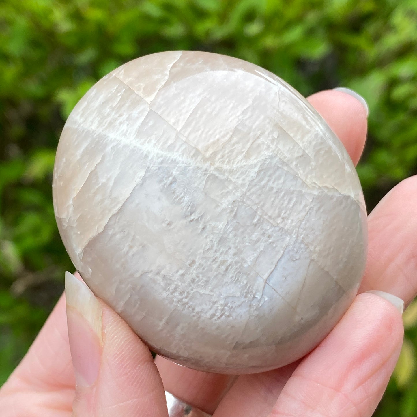 Black Moonstone Palm Stone, Gray Moonstone