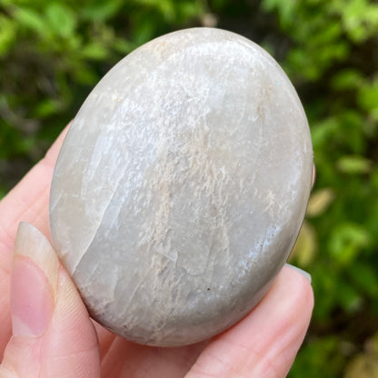 Black Moonstone Palm Stone, Gray Moonstone