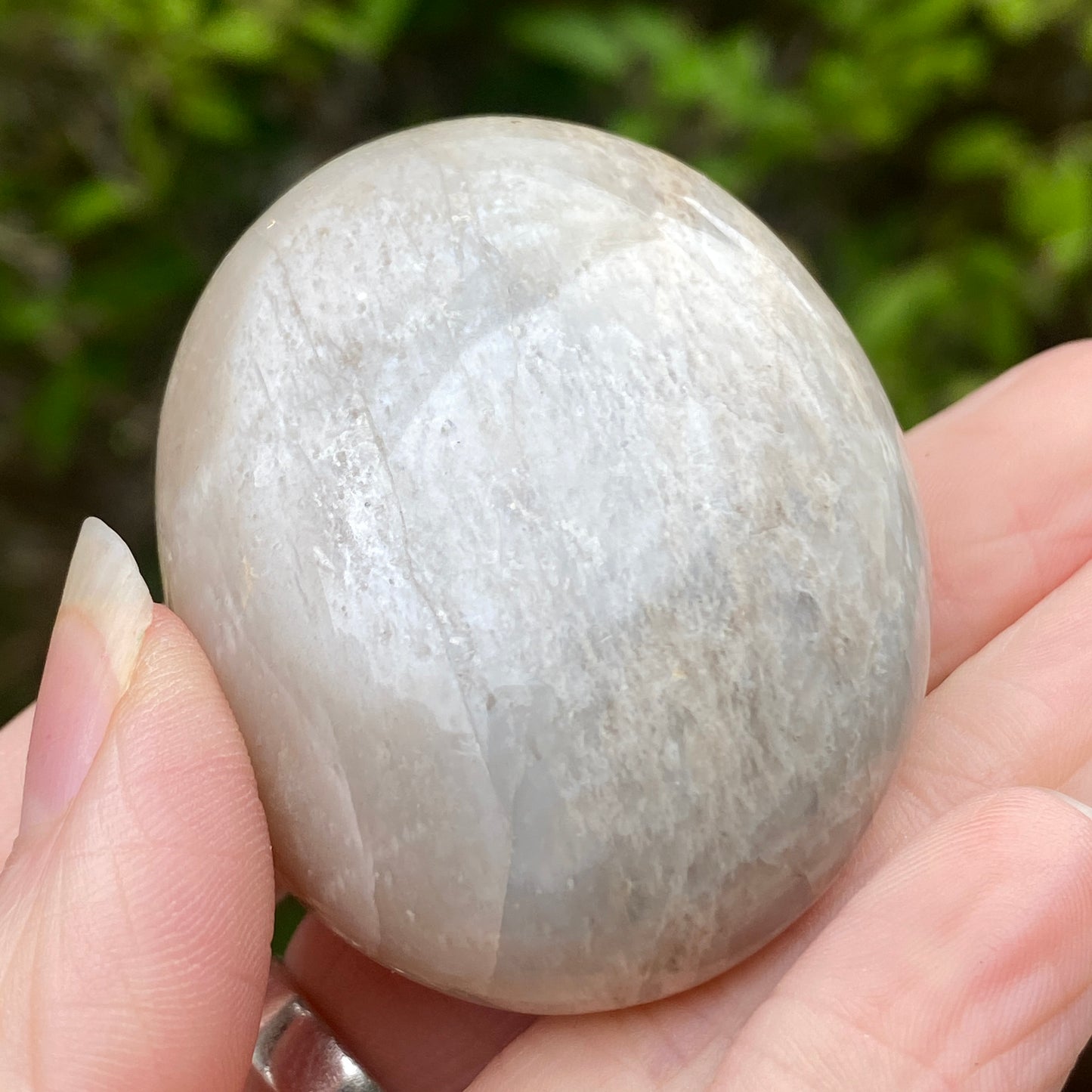 Black Moonstone Palm Stone, Gray Moonstone