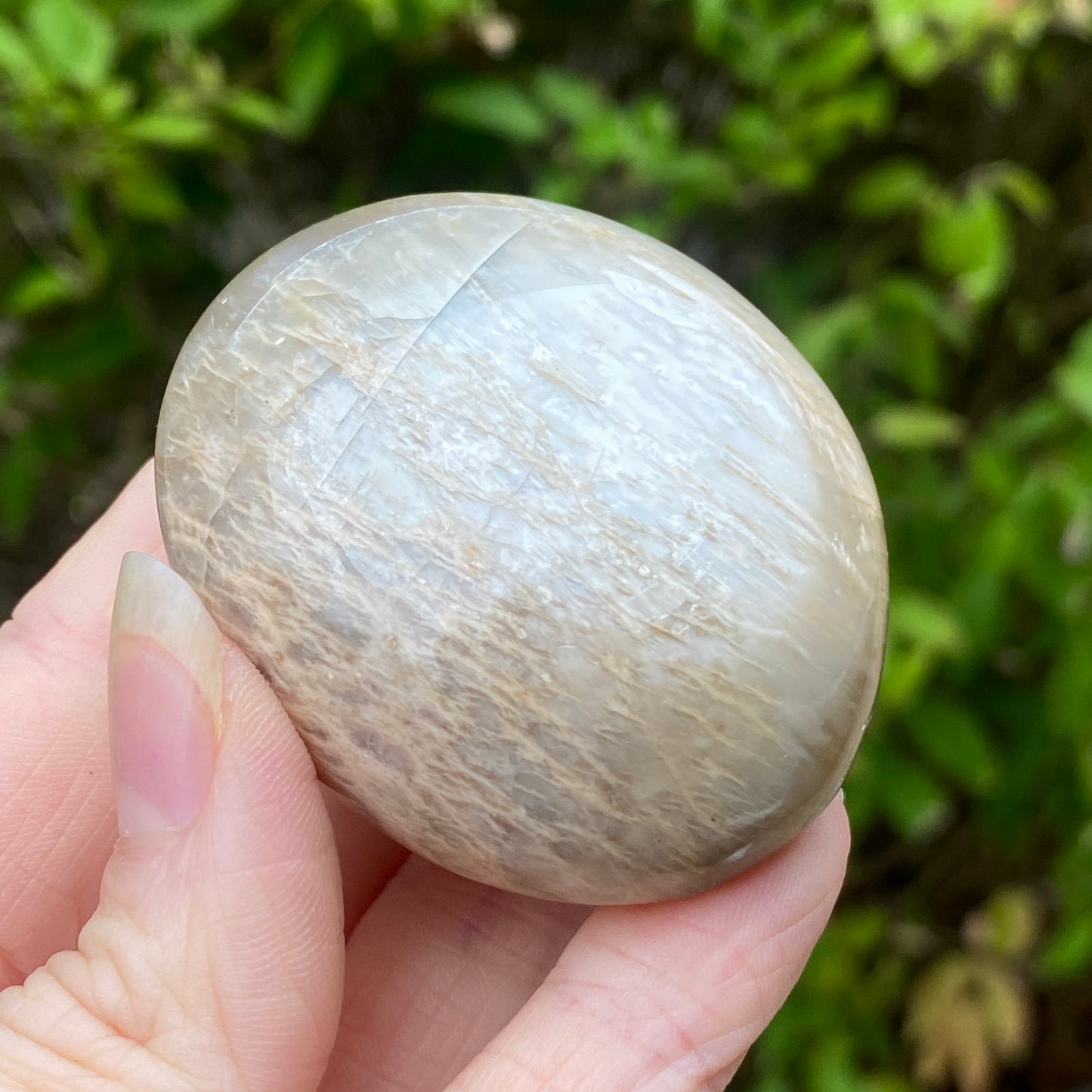 Black Moonstone Palm Stone, Gray Moonstone