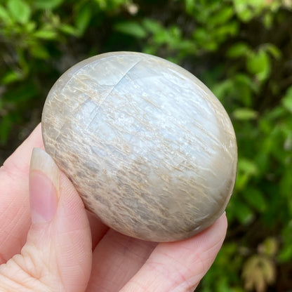 Black Moonstone Palm Stone, Gray Moonstone