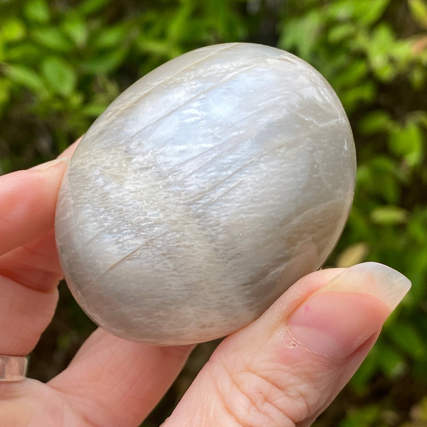 Black Moonstone Palm Stone, Gray Moonstone