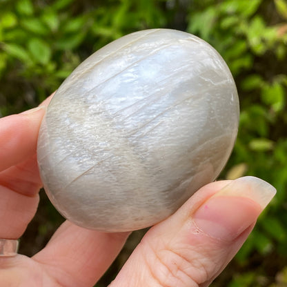 Black Moonstone Palm Stone, Gray Moonstone