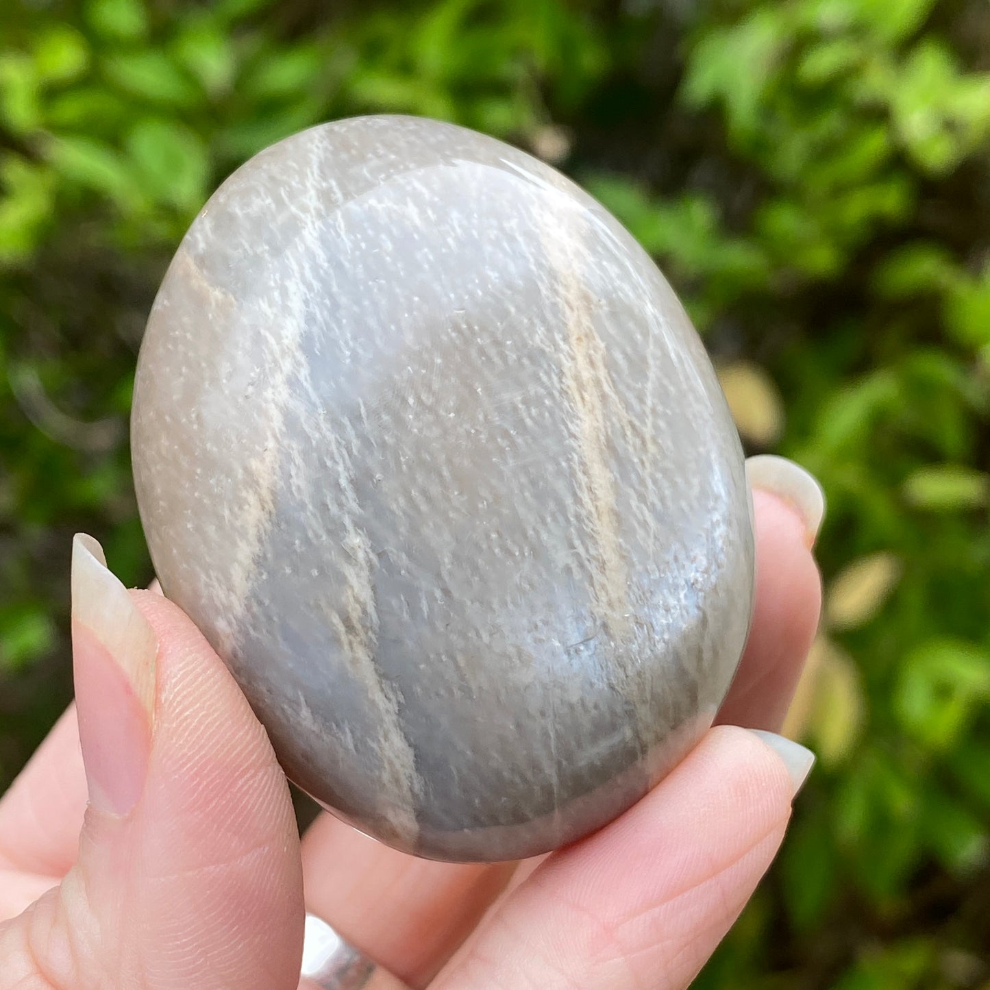 Black Moonstone Palm Stone, Gray Moonstone