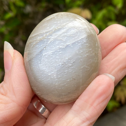 Black Moonstone Palm Stone, Gray Moonstone