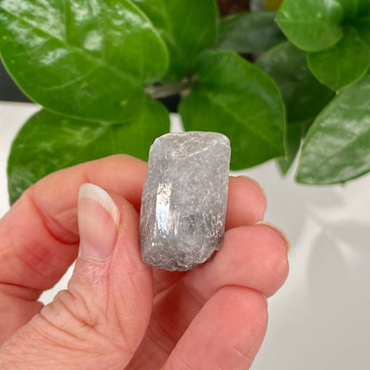 Rare Blue Danburite, Bolivia