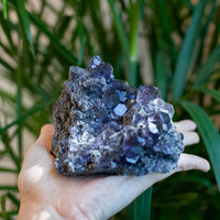 Indigo Fluorite from Fujian, Tanzanite Fluorite, Dodecahedral