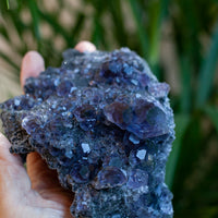 Indigo Fluorite from Fujian, Tanzanite Fluorite, Dodecahedral