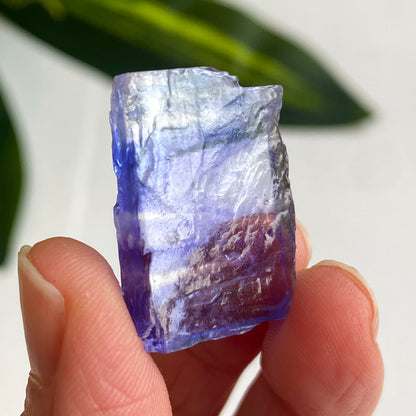Blue Halite