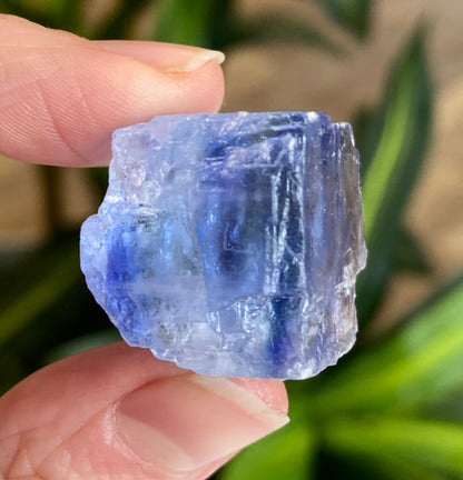 Blue Halite