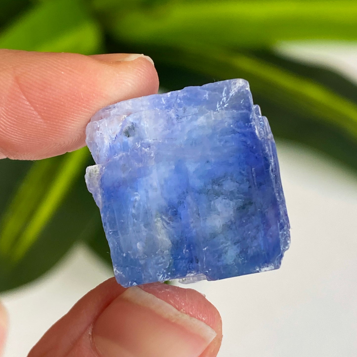 Blue Halite