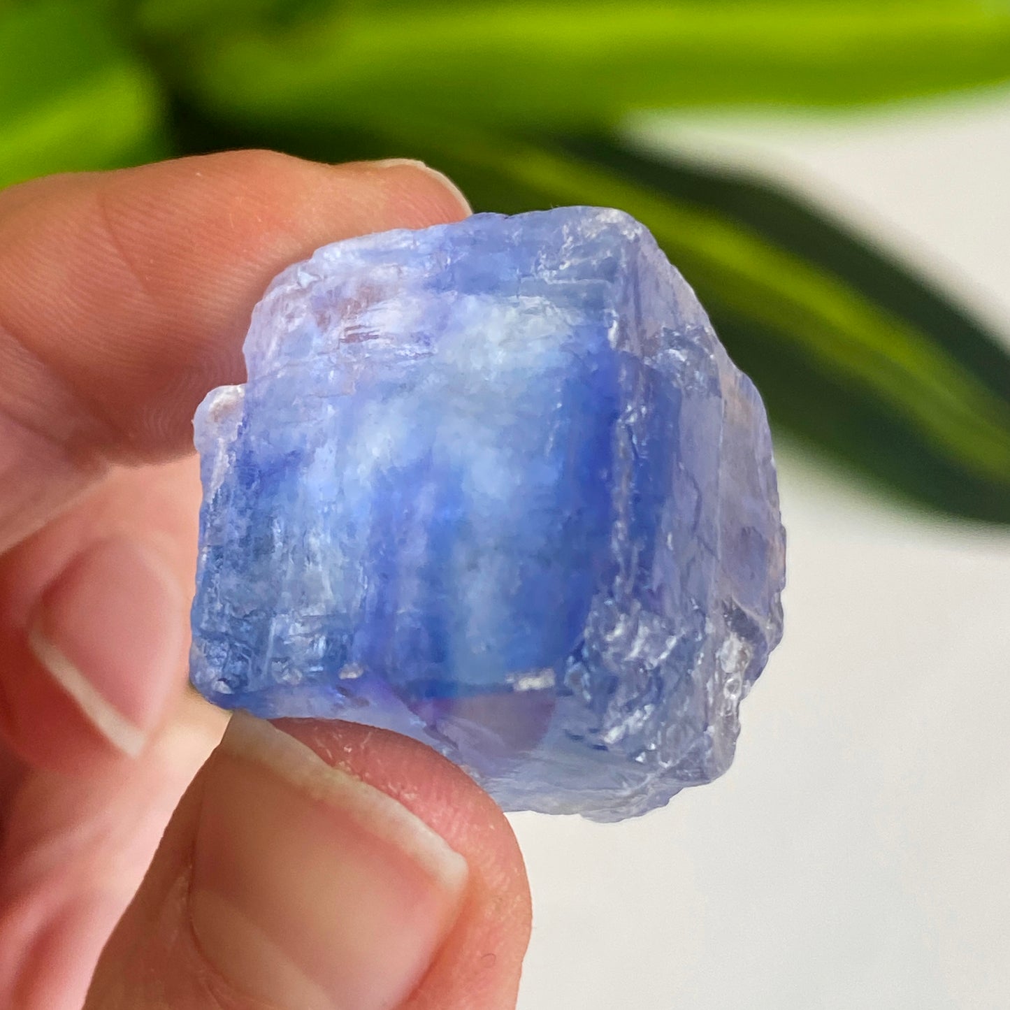 Blue Halite