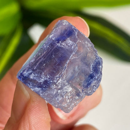 Blue Halite