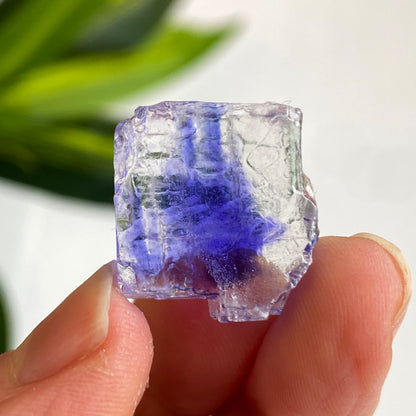 Blue Halite
