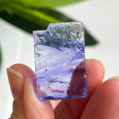Blue Halite