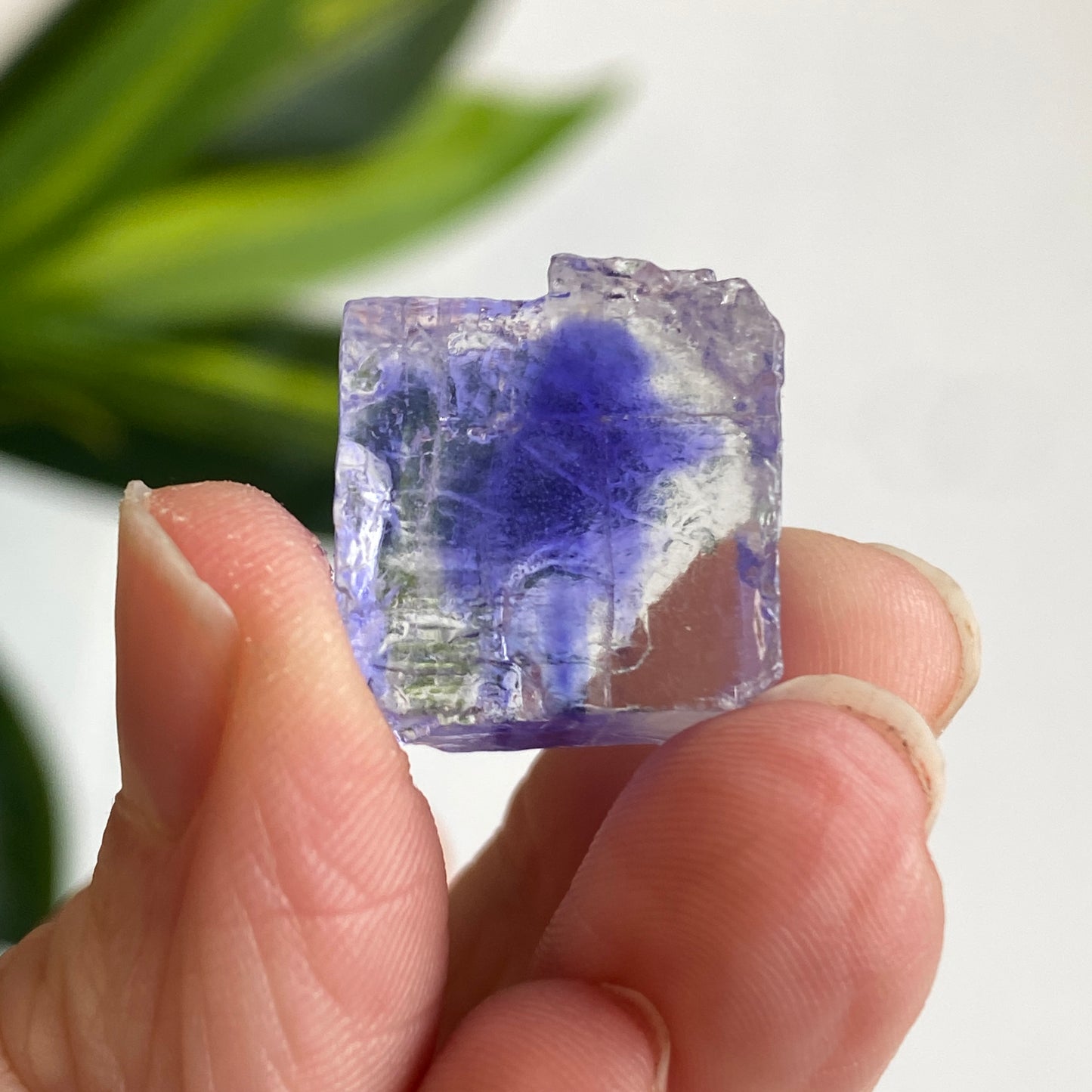 Blue Halite