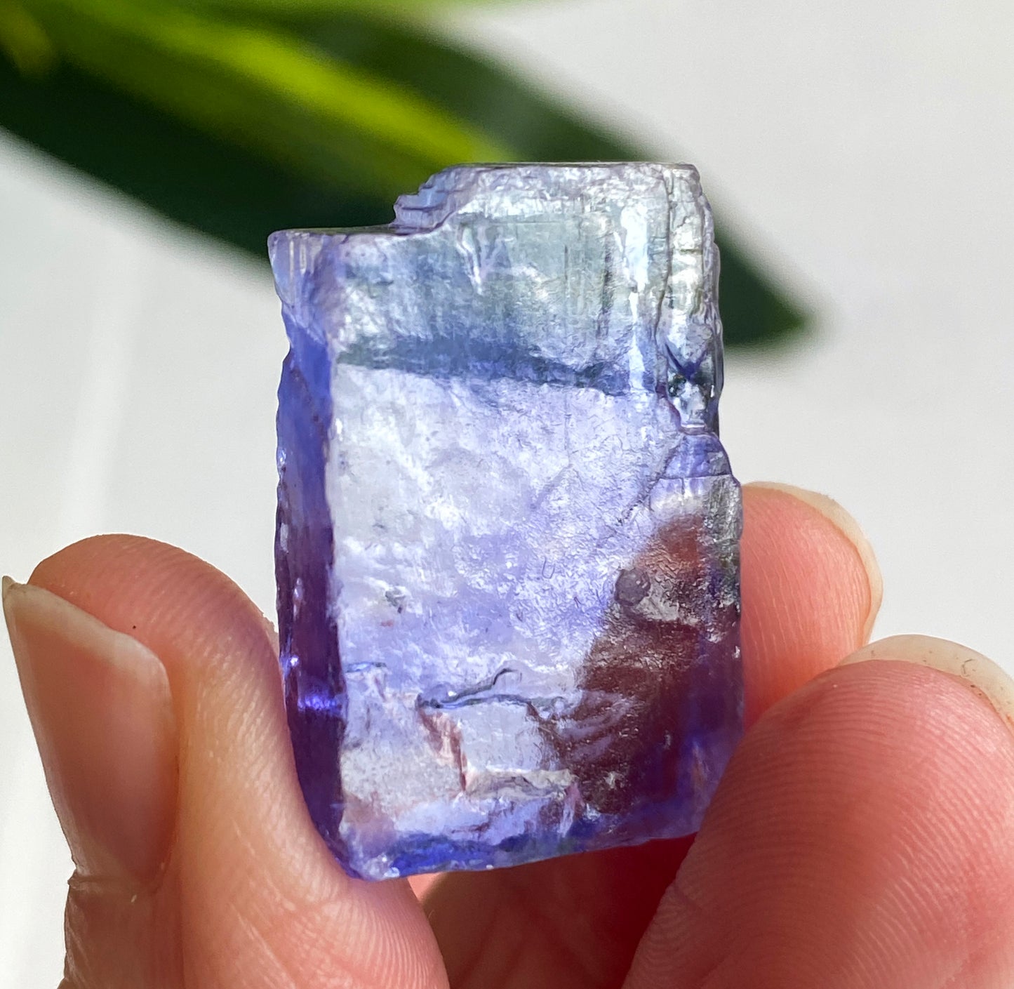 Blue Halite