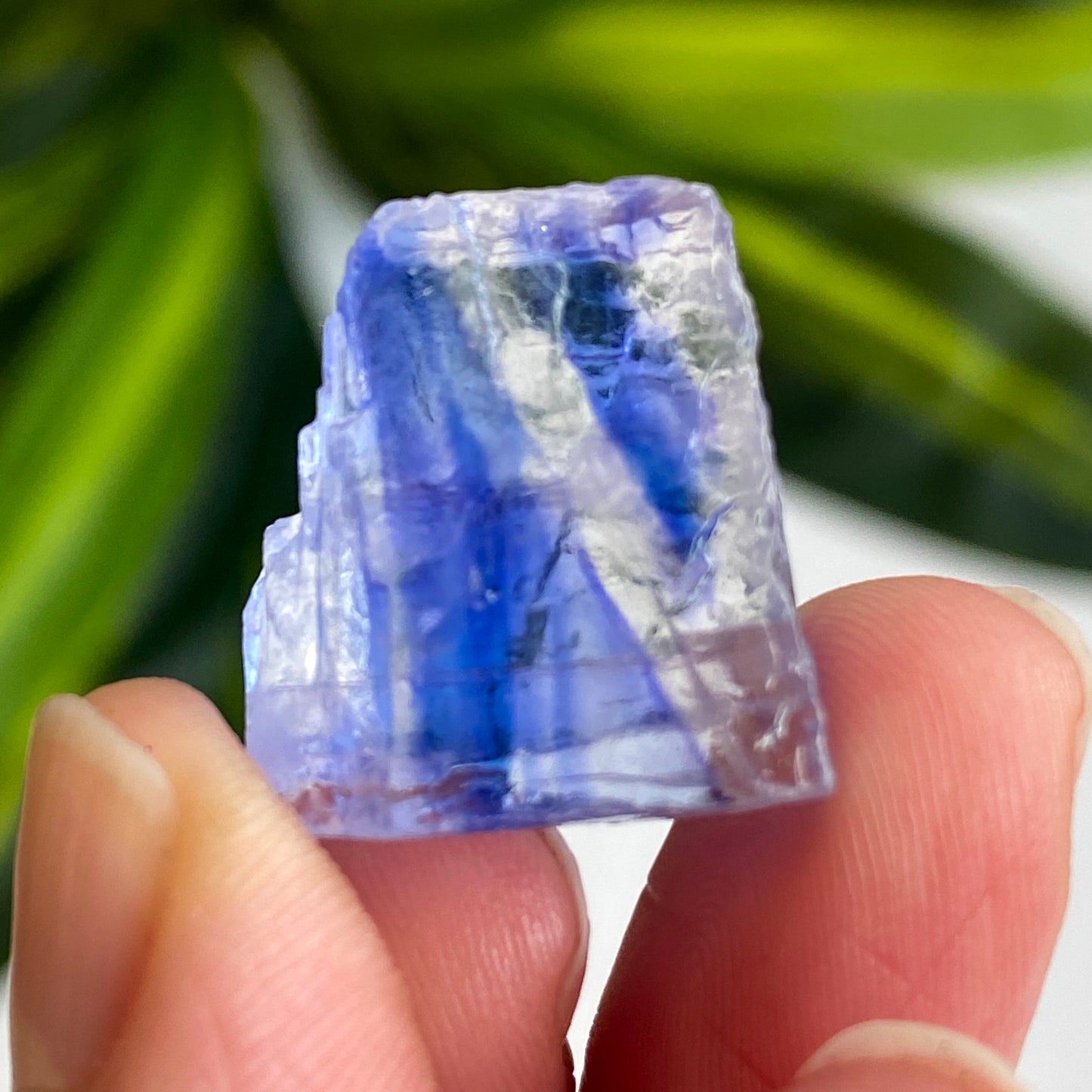 Blue Halite