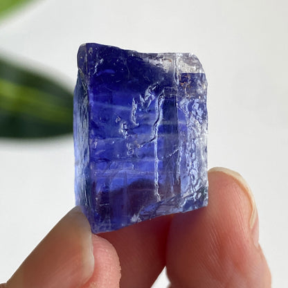 Blue Halite