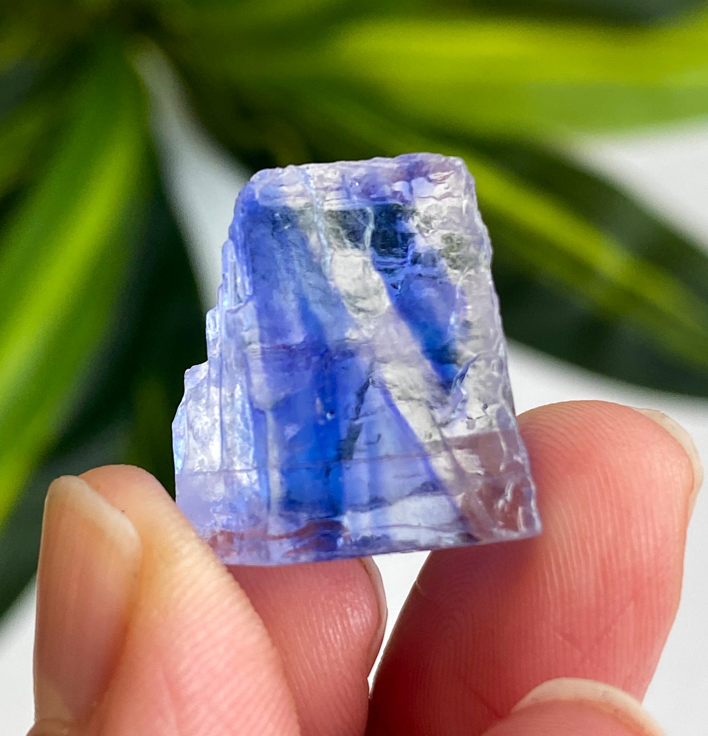 Blue Halite