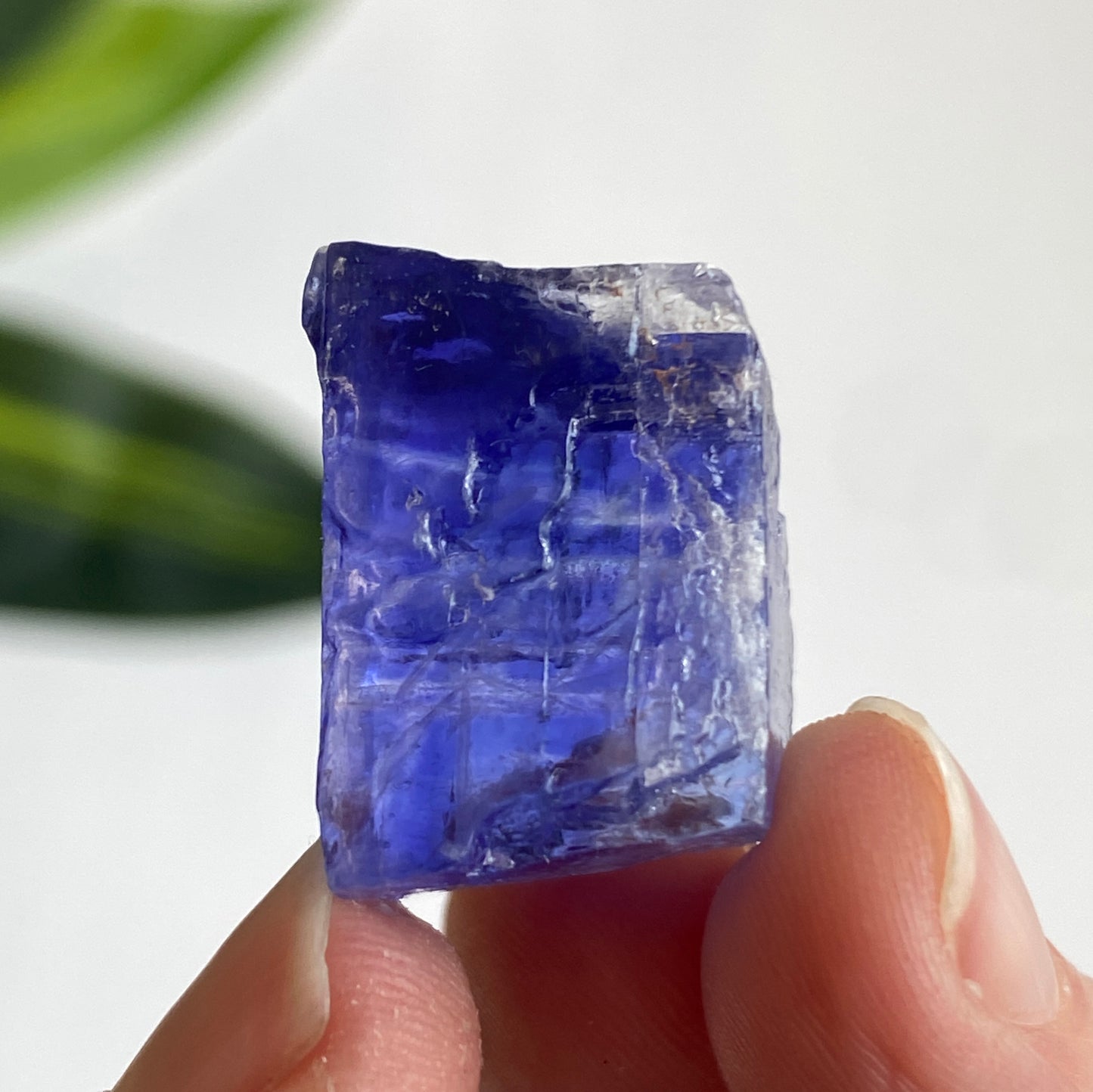 Blue Halite