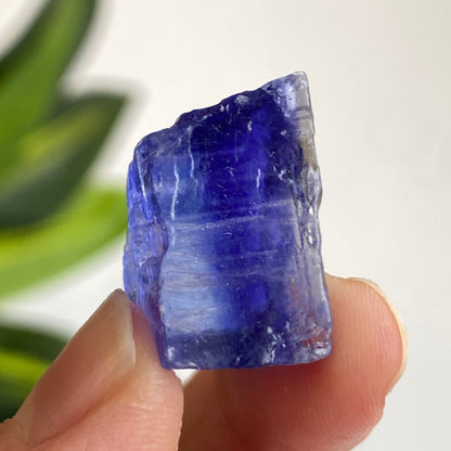 Blue Halite