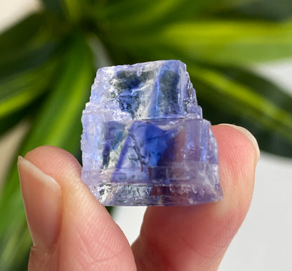 Blue Halite