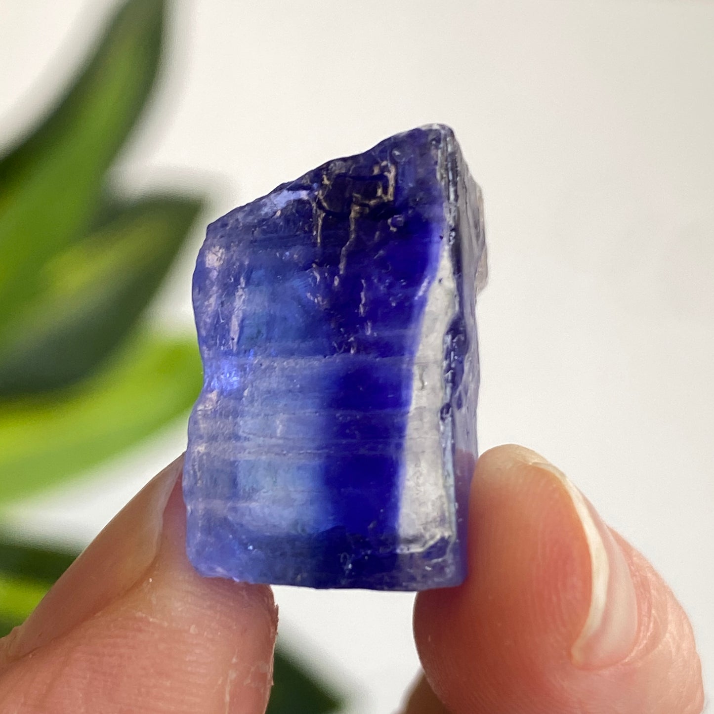 Blue Halite