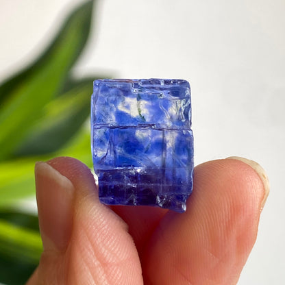 Blue Halite