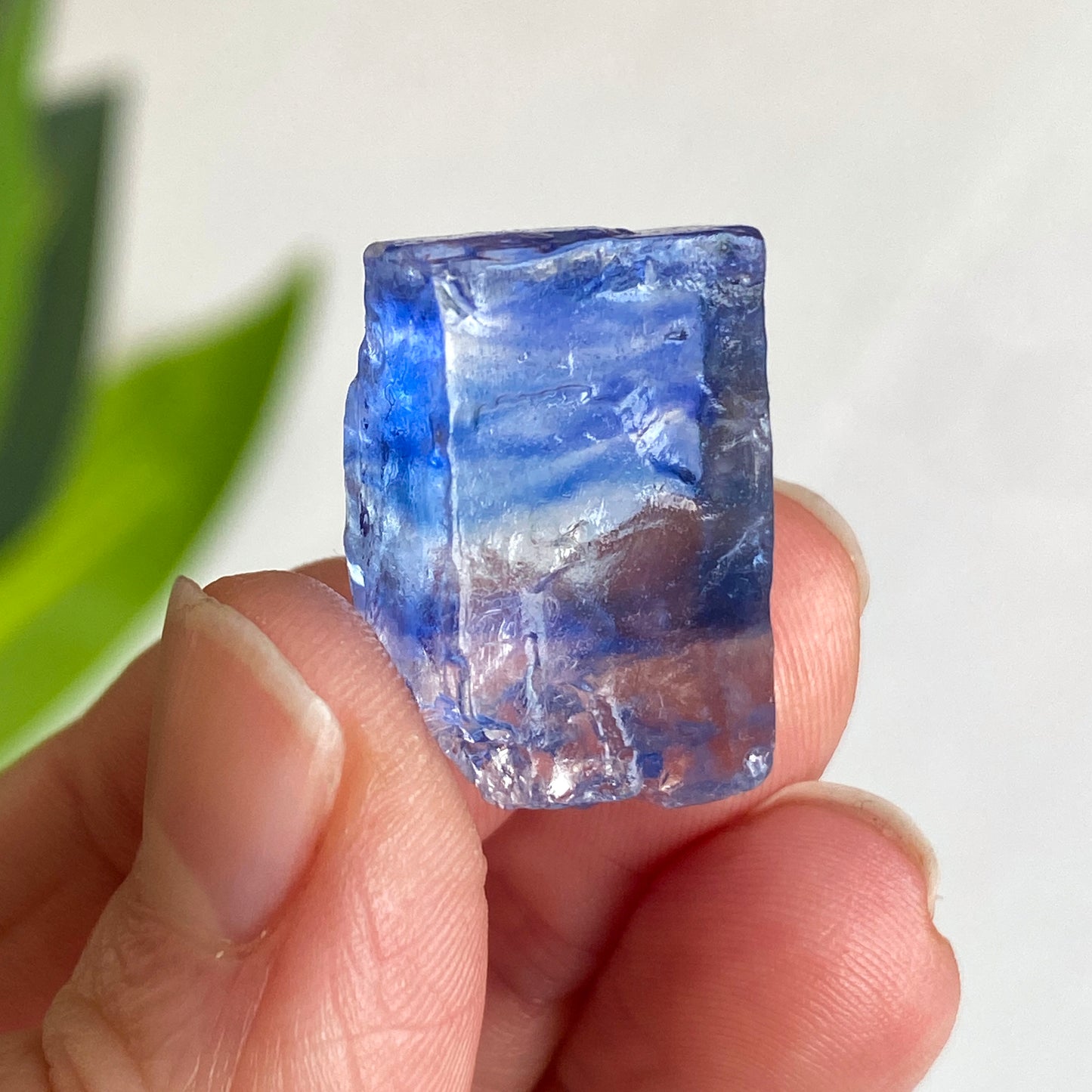 Blue Halite