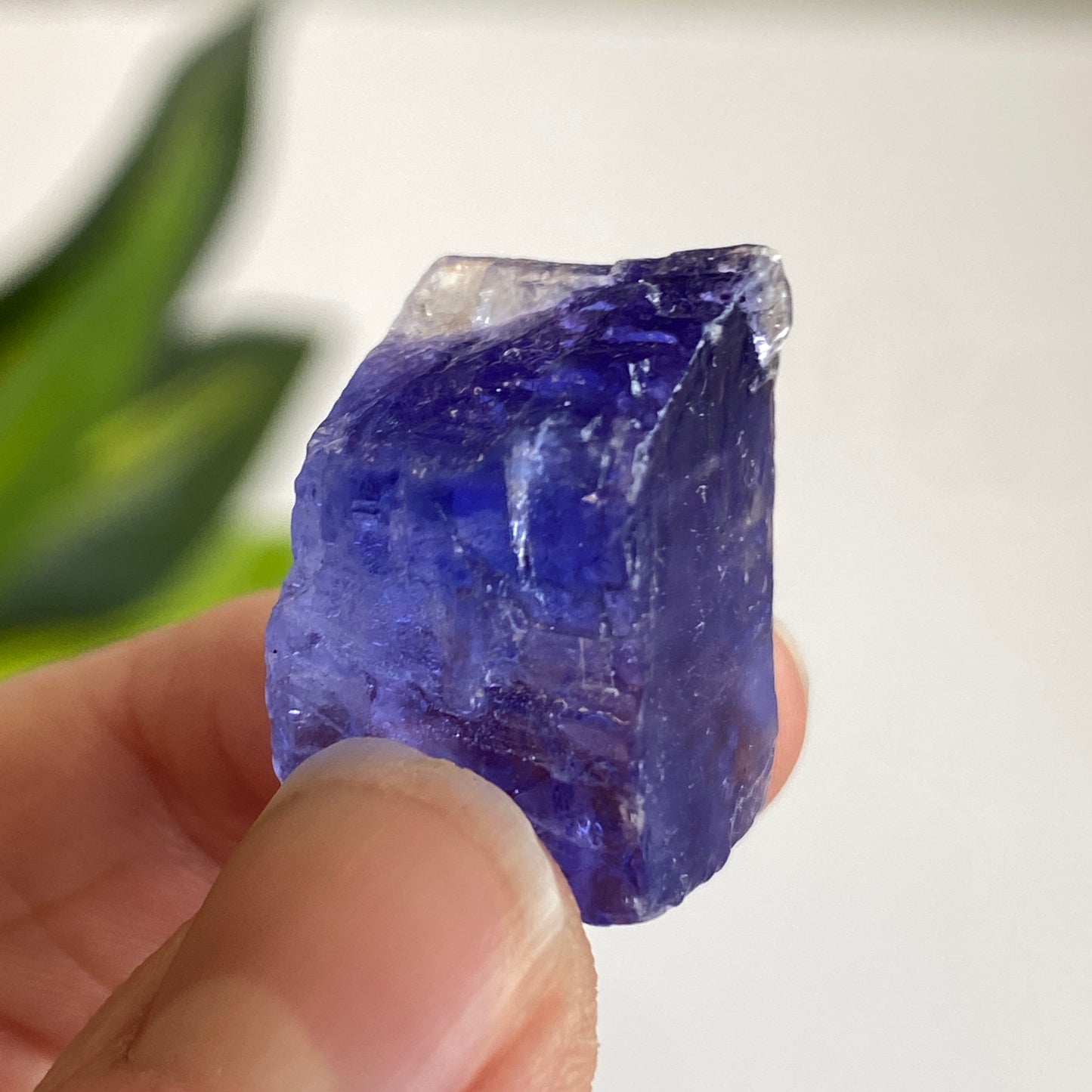 Blue Halite